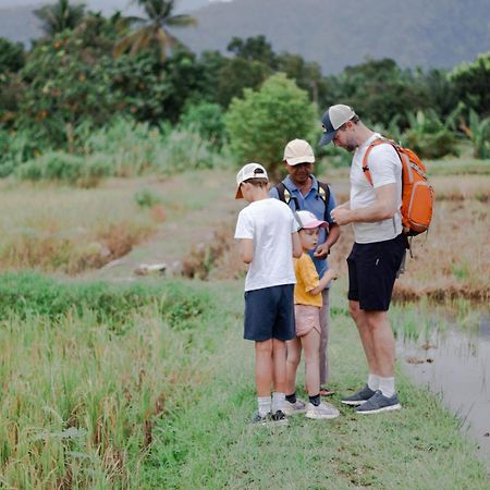Ambow Homestay Jungle Trekking & Village Tour 부킷 라왕 외부 사진