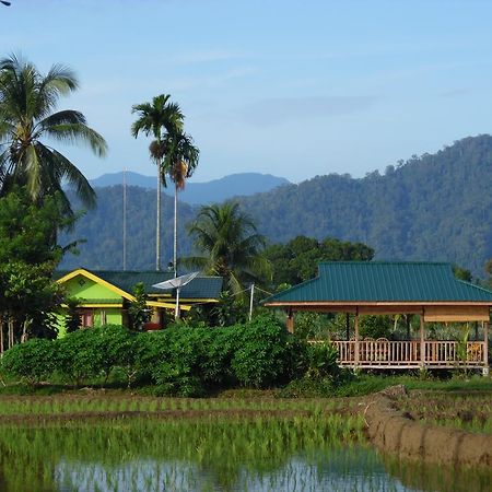 Ambow Homestay Jungle Trekking & Village Tour 부킷 라왕 외부 사진
