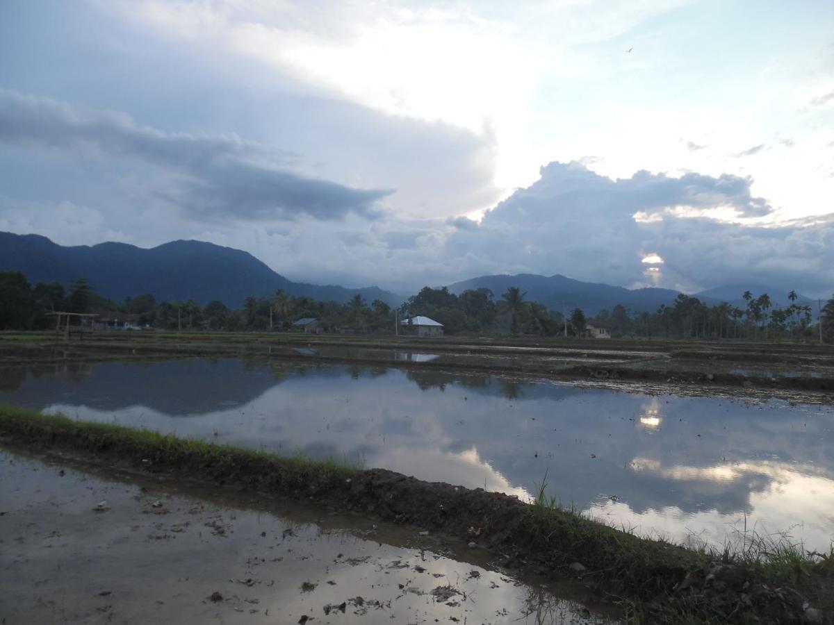 Ambow Homestay Jungle Trekking & Village Tour 부킷 라왕 외부 사진