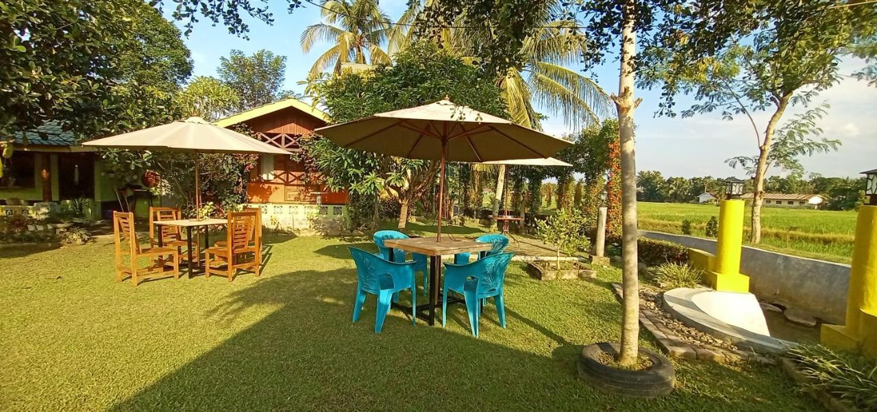 Ambow Homestay Jungle Trekking & Village Tour 부킷 라왕 외부 사진