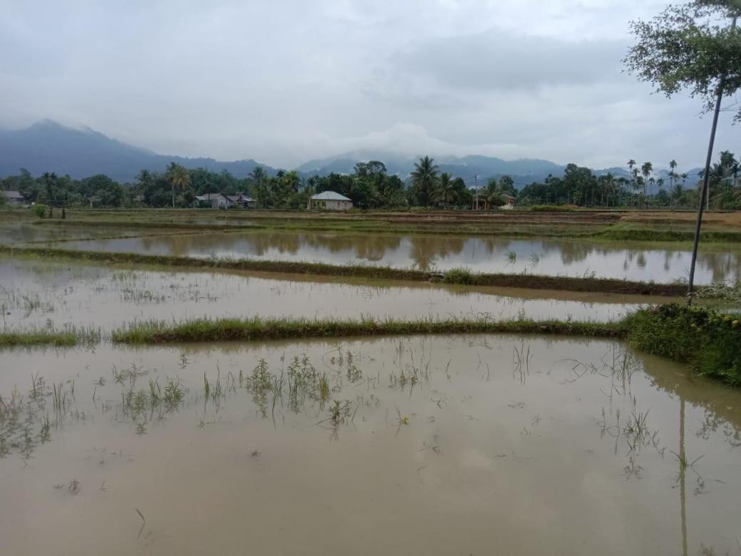 Ambow Homestay Jungle Trekking & Village Tour 부킷 라왕 외부 사진