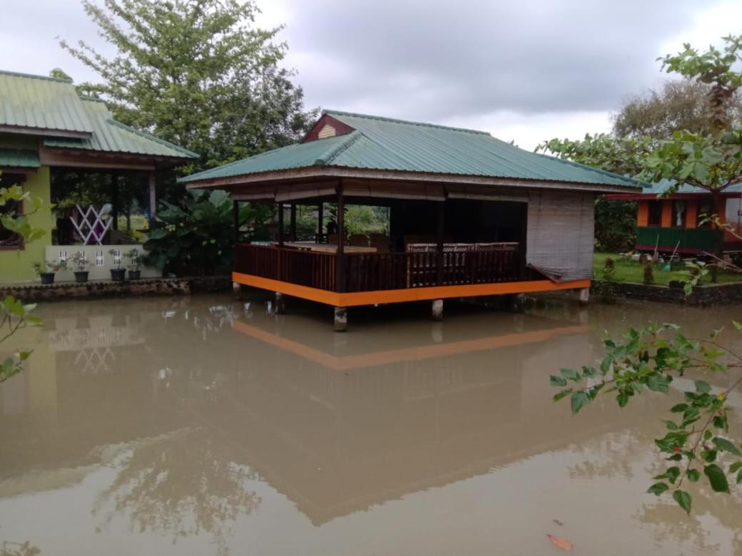 Ambow Homestay Jungle Trekking & Village Tour 부킷 라왕 외부 사진