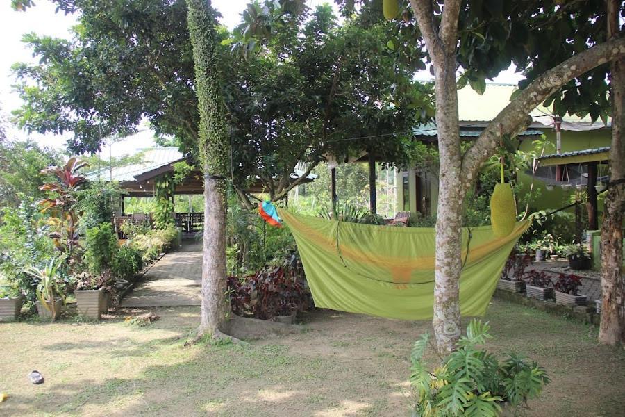 Ambow Homestay Jungle Trekking & Village Tour 부킷 라왕 외부 사진