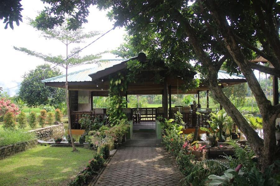 Ambow Homestay Jungle Trekking & Village Tour 부킷 라왕 외부 사진