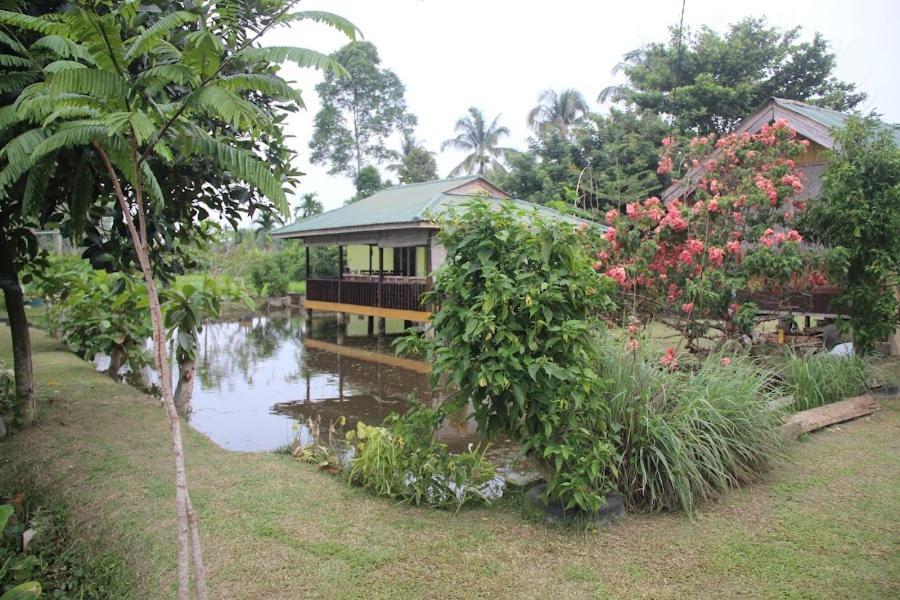 Ambow Homestay Jungle Trekking & Village Tour 부킷 라왕 외부 사진