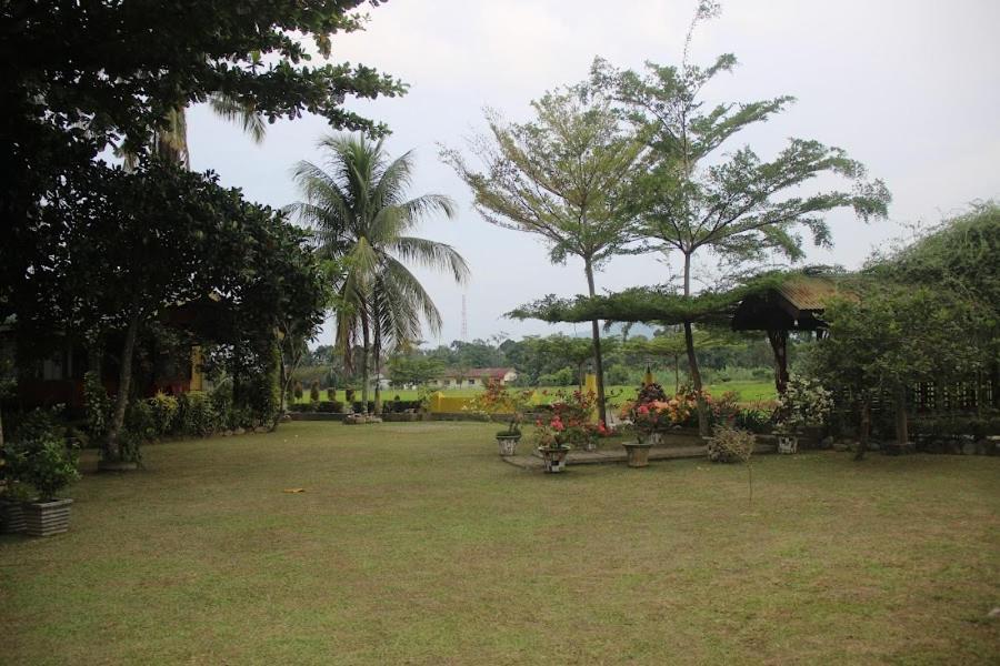Ambow Homestay Jungle Trekking & Village Tour 부킷 라왕 외부 사진