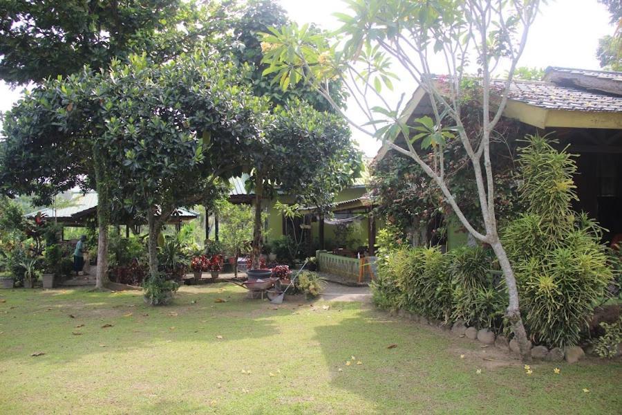 Ambow Homestay Jungle Trekking & Village Tour 부킷 라왕 외부 사진