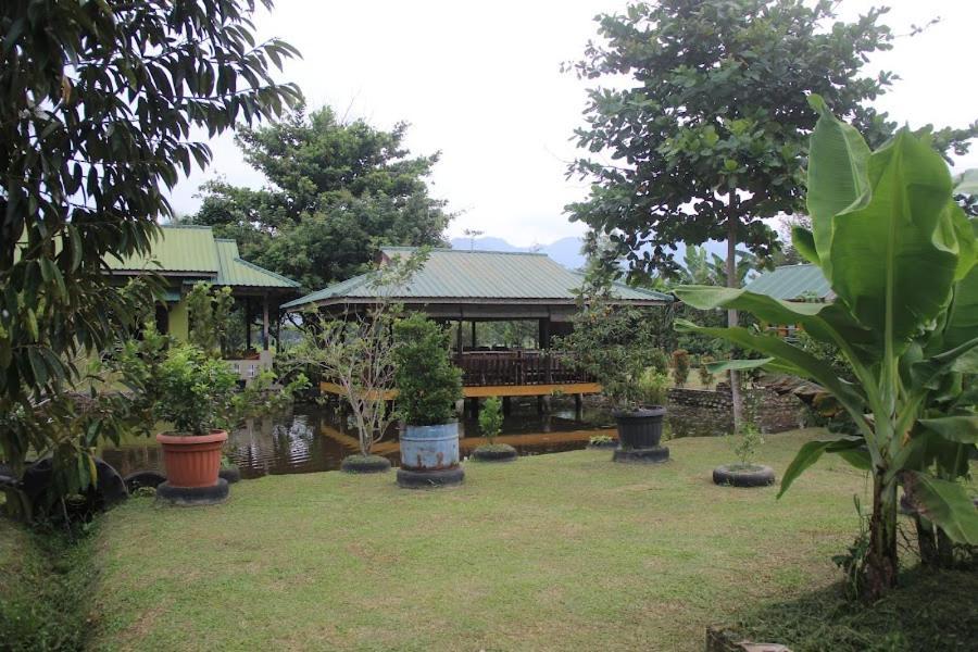Ambow Homestay Jungle Trekking & Village Tour 부킷 라왕 외부 사진