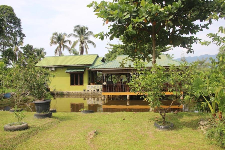 Ambow Homestay Jungle Trekking & Village Tour 부킷 라왕 외부 사진