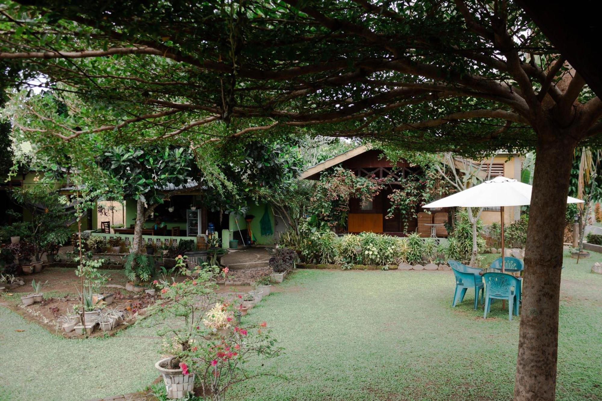 Ambow Homestay Jungle Trekking & Village Tour 부킷 라왕 외부 사진