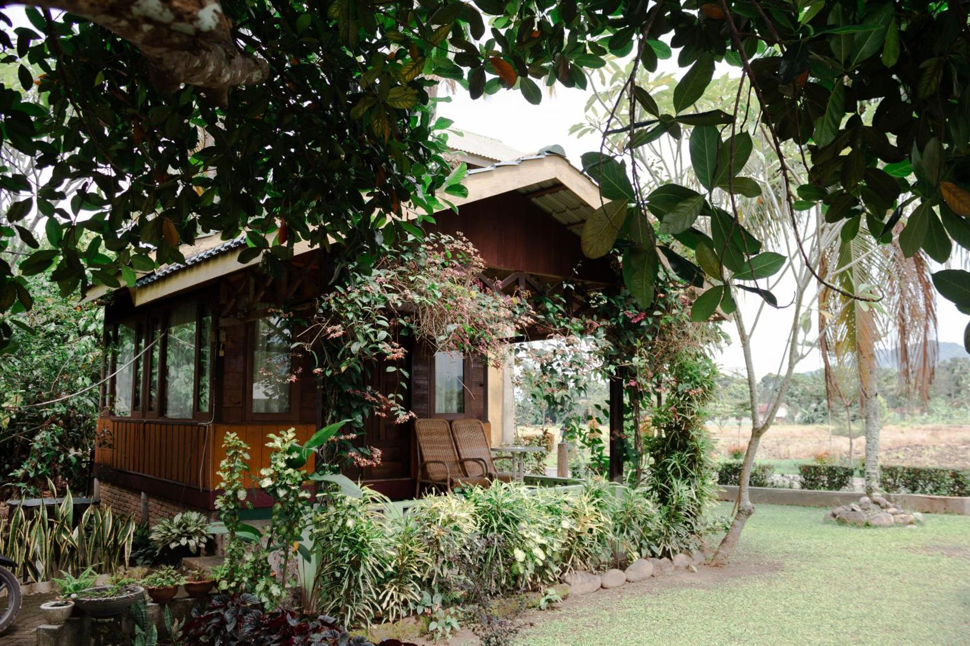 Ambow Homestay Jungle Trekking & Village Tour 부킷 라왕 외부 사진