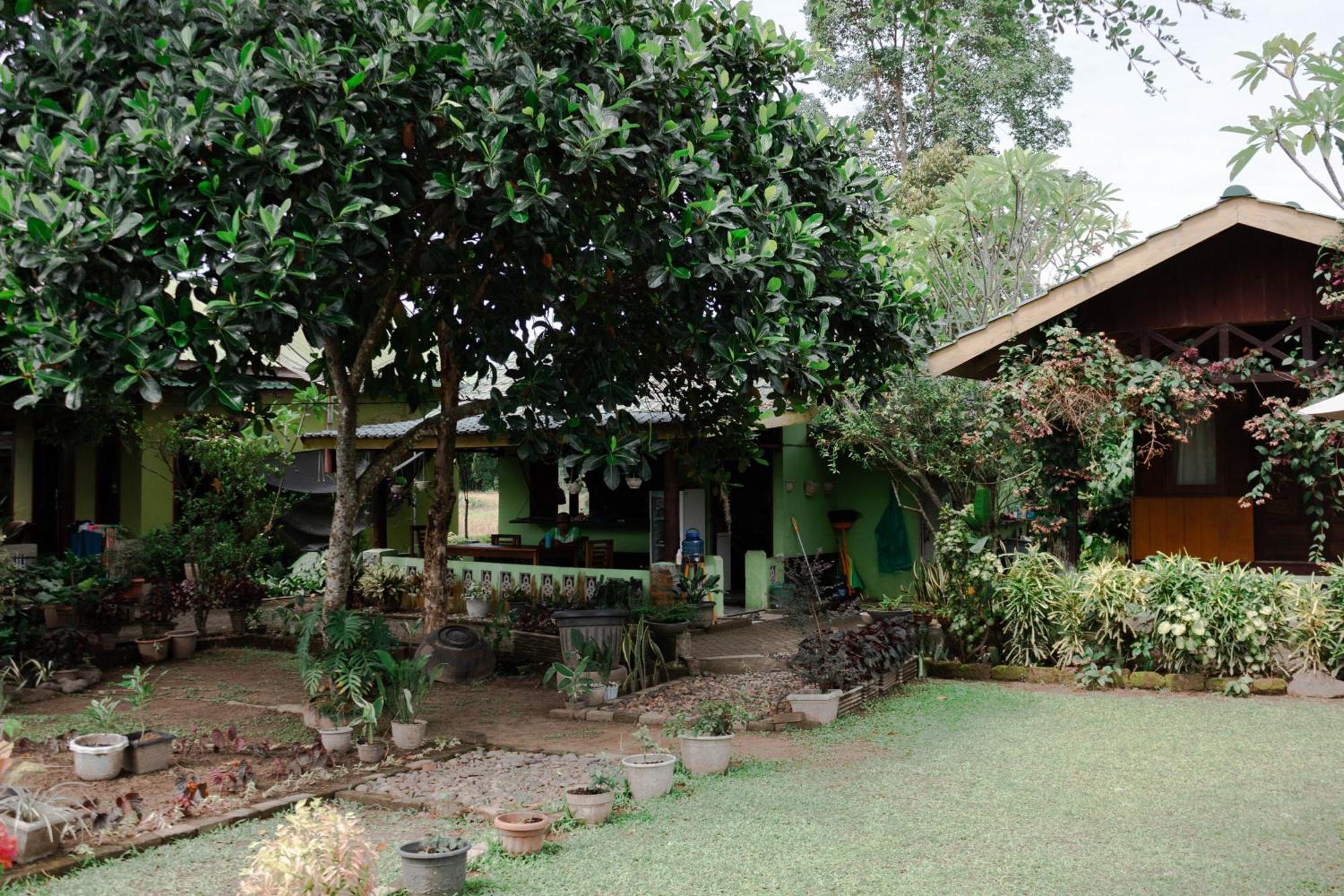 Ambow Homestay Jungle Trekking & Village Tour 부킷 라왕 외부 사진