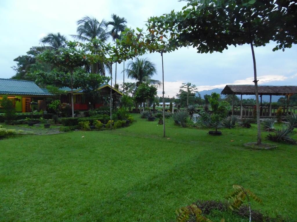 Ambow Homestay Jungle Trekking & Village Tour 부킷 라왕 외부 사진