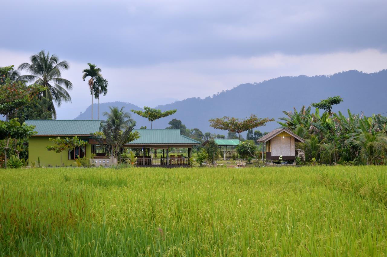 Ambow Homestay Jungle Trekking & Village Tour 부킷 라왕 외부 사진