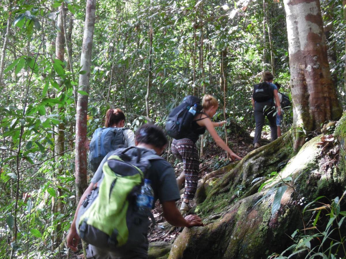 Ambow Homestay Jungle Trekking & Village Tour 부킷 라왕 외부 사진