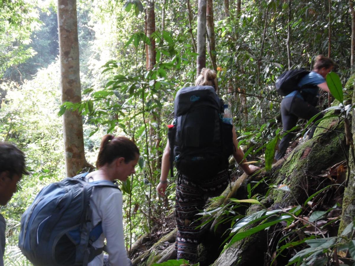 Ambow Homestay Jungle Trekking & Village Tour 부킷 라왕 외부 사진