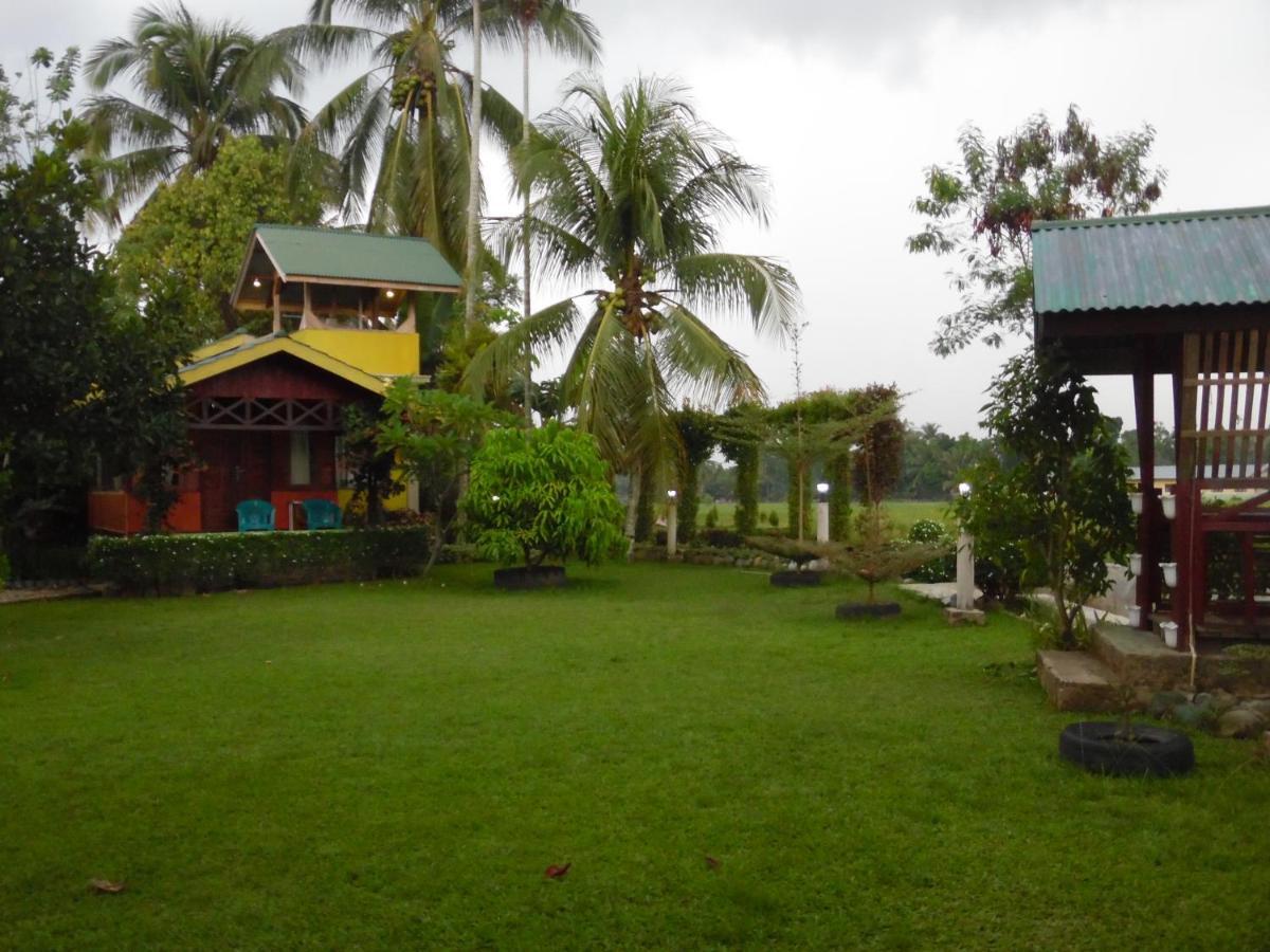 Ambow Homestay Jungle Trekking & Village Tour 부킷 라왕 외부 사진