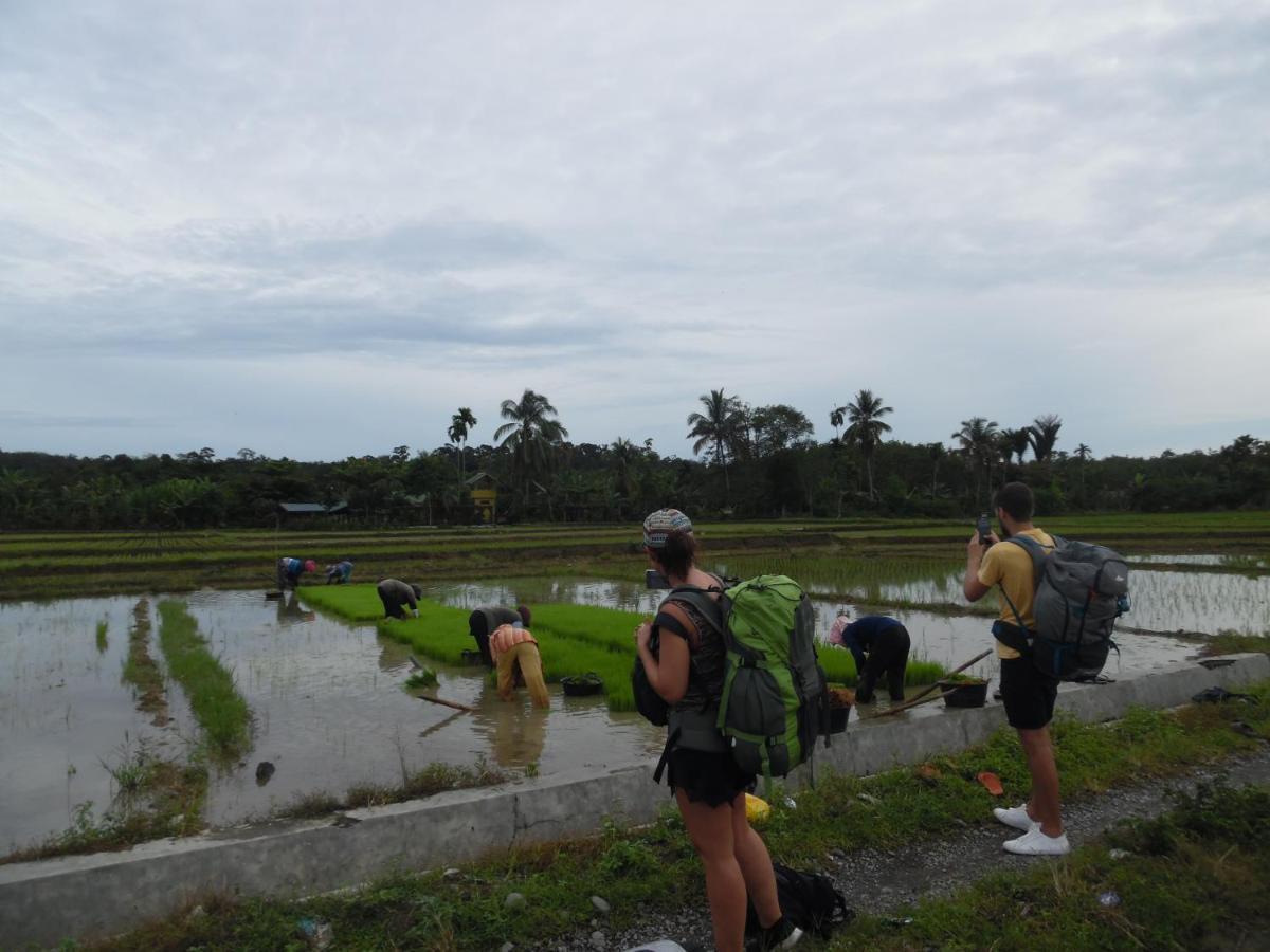 Ambow Homestay Jungle Trekking & Village Tour 부킷 라왕 외부 사진